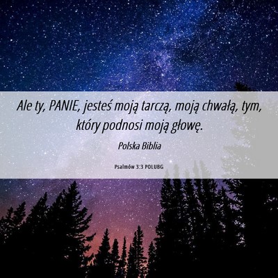 Picture 06 - Psalmów 3:3 POLUBG - Ale ty, PANIE, jesteś moją tarczą, moją - Bible Verse Picture