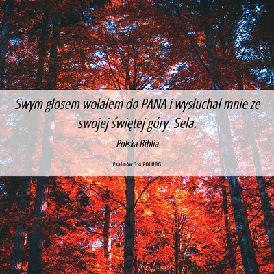Picture 06 - Psalmów 3:4 POLUBG - Swym głosem wołałem do PANA i wysłuchał mnie - Bible Verse Picture