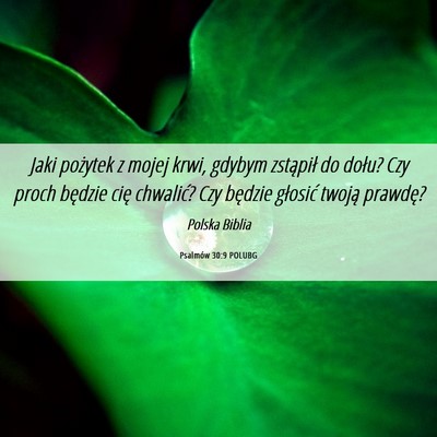 Picture 06 - Psalmów 30:9 POLUBG - Jaki pożytek z mojej krwi, gdybym zstąpił do - Bible Verse Picture