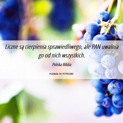 Picture 06 - Psalmów 34:19 POLUBG - Liczne są cierpienia sprawiedliwego, ale PAN - Bible Verse Picture