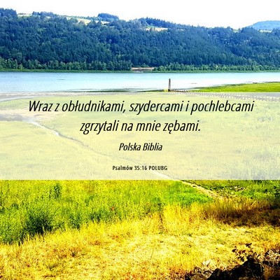 Picture 06 - Psalmów 35:16 POLUBG - Wraz z obłudnikami, szydercami i pochlebcami - Bible Verse Picture