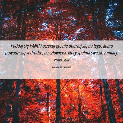 Picture 06 - Psalmów 37:7 POLUBG - Poddaj się PANU i oczekuj go; nie oburzaj się - Bible Verse Picture