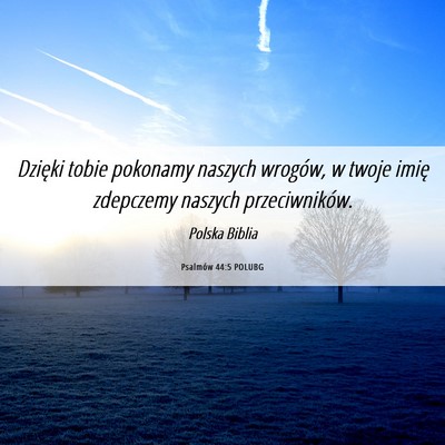 Picture 06 - Psalmów 44:5 POLUBG - Dzięki tobie pokonamy naszych wrogów, w twoje - Bible Verse Picture
