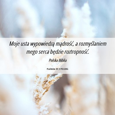 Picture 06 - Psalmów 49:3 POLUBG - Moje usta wypowiedzą mądrość, a rozmyślaniem - Bible Verse Picture