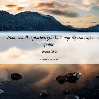Picture 06 - Psalmów 50:11 POLUBG - Znam wszelkie ptactwo górskie i moje są - Bible Verse Picture