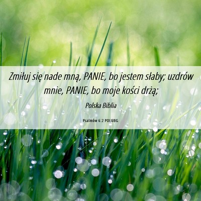 Picture 06 - Psalmów 6:2 POLUBG - Zmiłuj się nade mną, PANIE, bo jestem słaby; - Bible Verse Picture