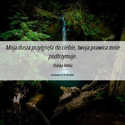 Picture 06 - Psalmów 63:8 POLUBG - Moja dusza przylgnęła do ciebie, twoja prawica - Bible Verse Picture
