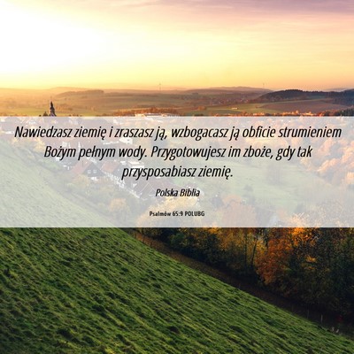 Picture 06 - Psalmów 65:9 POLUBG - Nawiedzasz ziemię i zraszasz ją, wzbogacasz ją - Bible Verse Picture