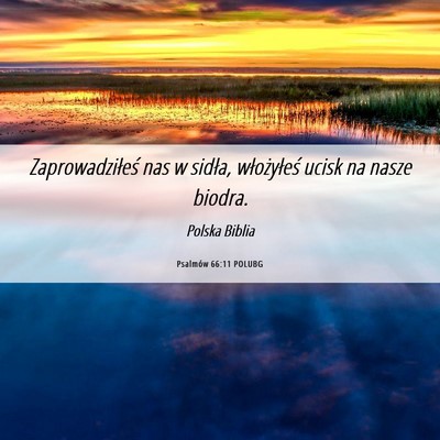Picture 06 - Psalmów 66:11 POLUBG - Zaprowadziłeś nas w sidła, włożyłeś ucisk - Bible Verse Picture