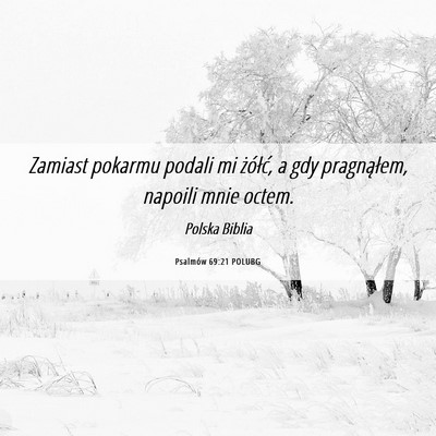 Picture 06 - Psalmów 69:21 POLUBG - Zamiast pokarmu podali mi żółć, a gdy - Bible Verse Picture