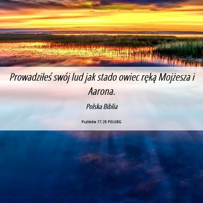 Picture 06 - Psalmów 77:20 POLUBG - Prowadziłeś swój lud jak stado owiec ręką - Bible Verse Picture