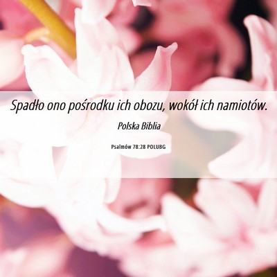 Picture 06 - Psalmów 78:28 POLUBG - Spadło ono pośrodku ich obozu, wokół ich - Bible Verse Picture