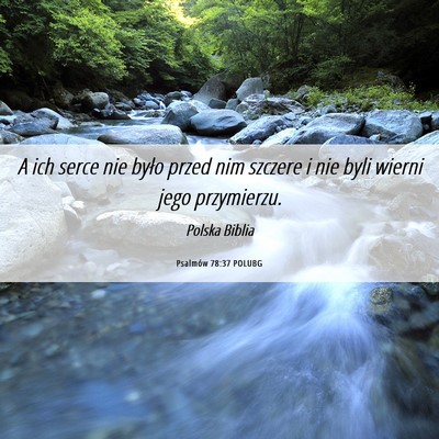 Picture 06 - Psalmów 78:37 POLUBG - A ich serce nie było przed nim szczere i nie - Bible Verse Picture