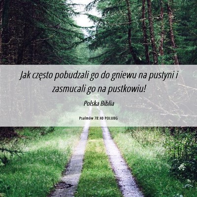 Picture 06 - Psalmów 78:40 POLUBG - Jak często pobudzali go do gniewu na pustyni i - Bible Verse Picture