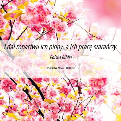 Picture 06 - Psalmów 78:46 POLUBG - I dał robactwu ich plony, a ich pracę - Bible Verse Picture