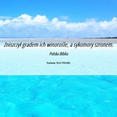 Picture 06 - Psalmów 78:47 POLUBG - Zniszczył gradem ich winorośle, a sykomory - Bible Verse Picture