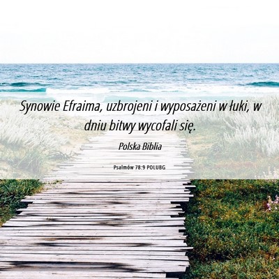 Picture 06 - Psalmów 78:9 POLUBG - Synowie Efraima, uzbrojeni i wyposażeni w łuki, - Bible Verse Picture