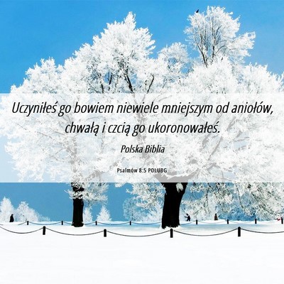 Picture 06 - Psalmów 8:5 POLUBG - Uczyniłeś go bowiem niewiele mniejszym od - Bible Verse Picture