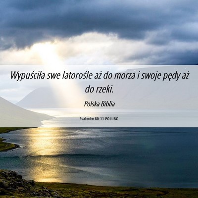 Picture 06 - Psalmów 80:11 POLUBG - Wypuściła swe latorośle aż do morza i swoje - Bible Verse Picture
