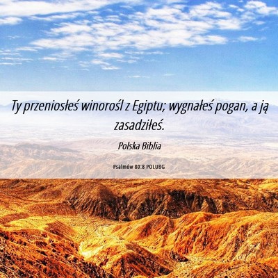 Picture 06 - Psalmów 80:8 POLUBG - Ty przeniosłeś winorośl z Egiptu; wygnałeś - Bible Verse Picture