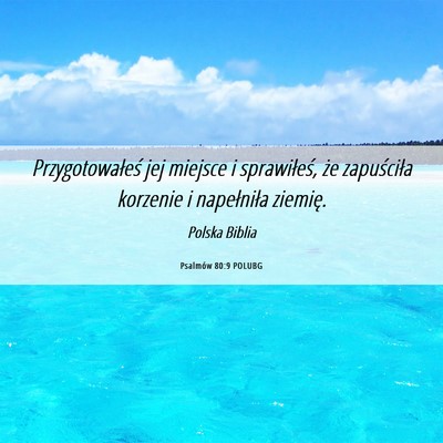Picture 06 - Psalmów 80:9 POLUBG - Przygotowałeś jej miejsce i sprawiłeś, że - Bible Verse Picture