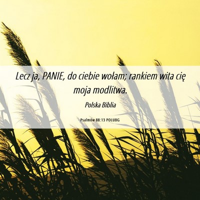 Picture 06 - Psalmów 88:13 POLUBG - Lecz ja, PANIE, do ciebie wołam; rankiem wita - Bible Verse Picture