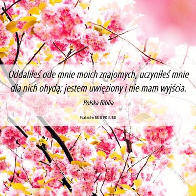 Picture 06 - Psalmów 88:8 POLUBG - Oddaliłeś ode mnie moich znajomych, uczyniłeś - Bible Verse Picture