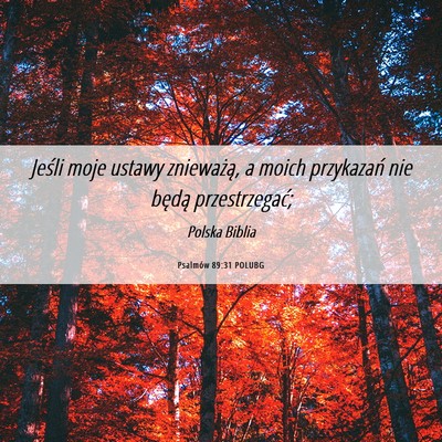 Picture 06 - Psalmów 89:31 POLUBG - Jeśli moje ustawy znieważą, a moich przykazań - Bible Verse Picture