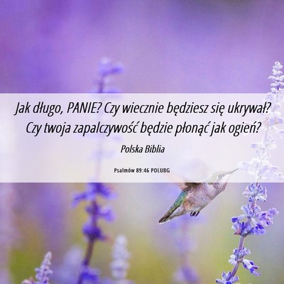 Picture 06 - Psalmów 89:46 POLUBG - Jak długo, PANIE? Czy wiecznie będziesz się - Bible Verse Picture