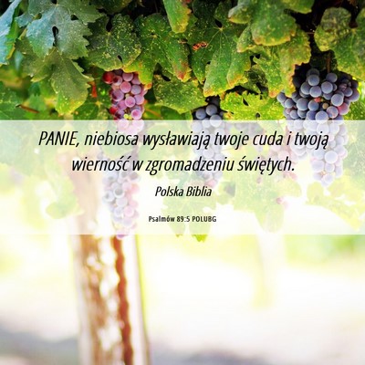 Picture 06 - Psalmów 89:5 POLUBG - PANIE, niebiosa wysławiają twoje cuda i twoją - Bible Verse Picture