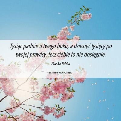 Picture 06 - Psalmów 91:7 POLUBG - Tysiąc padnie u twego boku, a dziesięć - Bible Verse Picture