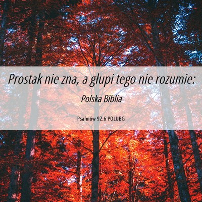 Picture 06 - Psalmów 92:6 POLUBG - Prostak nie zna, a głupi tego nie - Bible Verse Picture