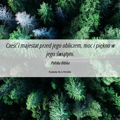 Picture 06 - Psalmów 96:6 POLUBG - Cześć i majestat przed jego obliczem, moc i - Bible Verse Picture