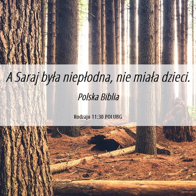 Picture 06 - Rodzaju 11:30 POLUBG - A Saraj była niepłodna, nie miała - Bible Verse Picture