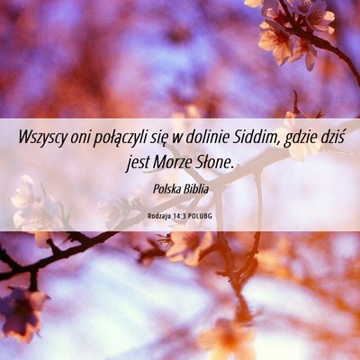 Picture 06 - Rodzaju 14:3 POLUBG - Wszyscy oni połączyli się w dolinie Siddim, - Bible Verse Picture