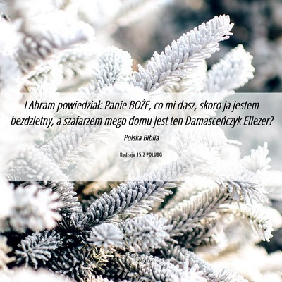 Picture 06 - Rodzaju 15:2 POLUBG - I Abram powiedział: Panie BOŻE, co mi dasz, - Bible Verse Picture