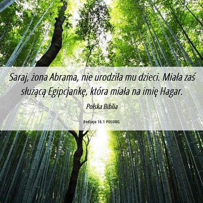 Picture 06 - Rodzaju 16:1 POLUBG - Saraj, żona Abrama, nie urodziła mu dzieci. - Bible Verse Picture
