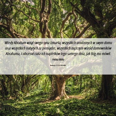 Picture 06 - Rodzaju 17:23 POLUBG - Wtedy Abraham wziął swego syna Izmaela, - Bible Verse Picture