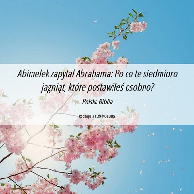 Picture 06 - Rodzaju 21:29 POLUBG - Abimelek zapytał Abrahama: Po co te siedmioro - Bible Verse Picture