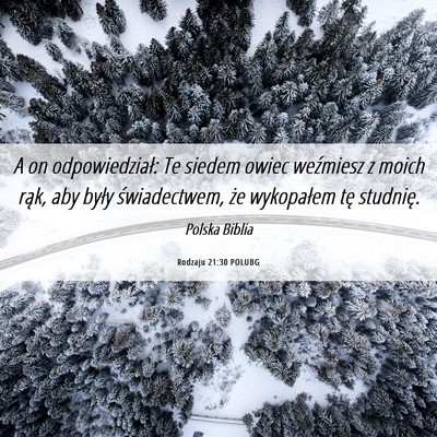 Picture 06 - Rodzaju 21:30 POLUBG - A on odpowiedział: Te siedem owiec weźmiesz z - Bible Verse Picture