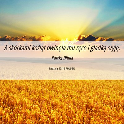 Picture 06 - Rodzaju 27:16 POLUBG - A skórkami koźląt owinęła mu ręce i - Bible Verse Picture
