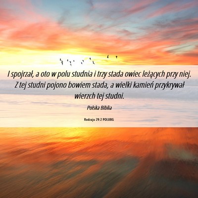 Picture 06 - Rodzaju 29:2 POLUBG - I spojrzał, a oto w polu studnia i trzy stada - Bible Verse Picture