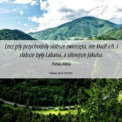 Picture 06 - Rodzaju 30:42 POLUBG - Lecz gdy przychodziły słabsze zwierzęta, nie - Bible Verse Picture