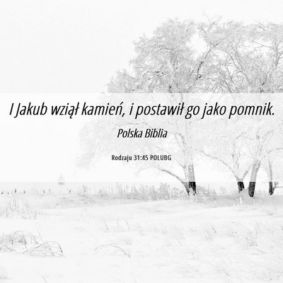 Picture 06 - Rodzaju 31:45 POLUBG - I Jakub wziął kamień, i postawił go jako - Bible Verse Picture