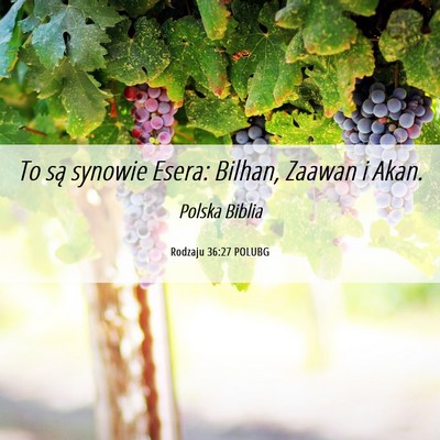 Picture 06 - Rodzaju 36:27 POLUBG - To są synowie Esera: Bilhan, Zaawan i - Bible Verse Picture