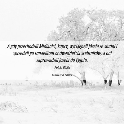 Picture 06 - Rodzaju 37:28 POLUBG - A gdy przechodzili Midianici, kupcy, wyciągnęli - Bible Verse Picture