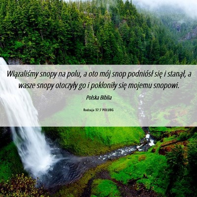 Picture 06 - Rodzaju 37:7 POLUBG - Wiązaliśmy snopy na polu, a oto mój snop - Bible Verse Picture