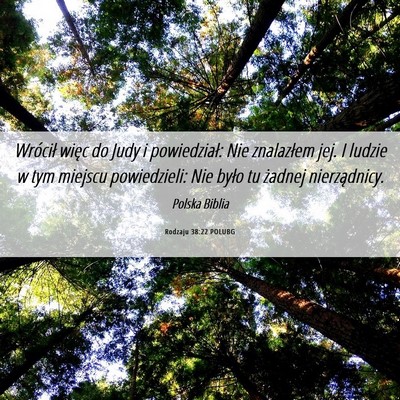 Picture 06 - Rodzaju 38:22 POLUBG - Wrócił więc do Judy i powiedział: Nie - Bible Verse Picture