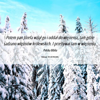 Picture 06 - Rodzaju 39:20 POLUBG - Potem pan Józefa wziął go i oddał do - Bible Verse Picture