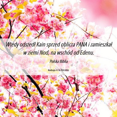 Picture 06 - Rodzaju 4:16 POLUBG - Wtedy odszedł Kain sprzed oblicza PANA i - Bible Verse Picture